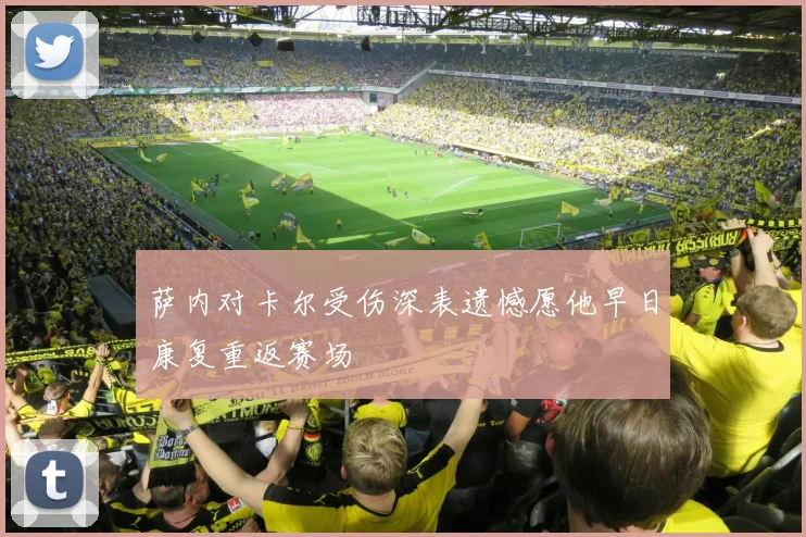 萨内对卡尔受伤深表遗憾愿他早日康复重返赛场