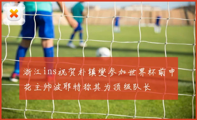 浙江ins祝贺朴镇燮参加世界杯前申花主帅波耶特称其为顶级队长